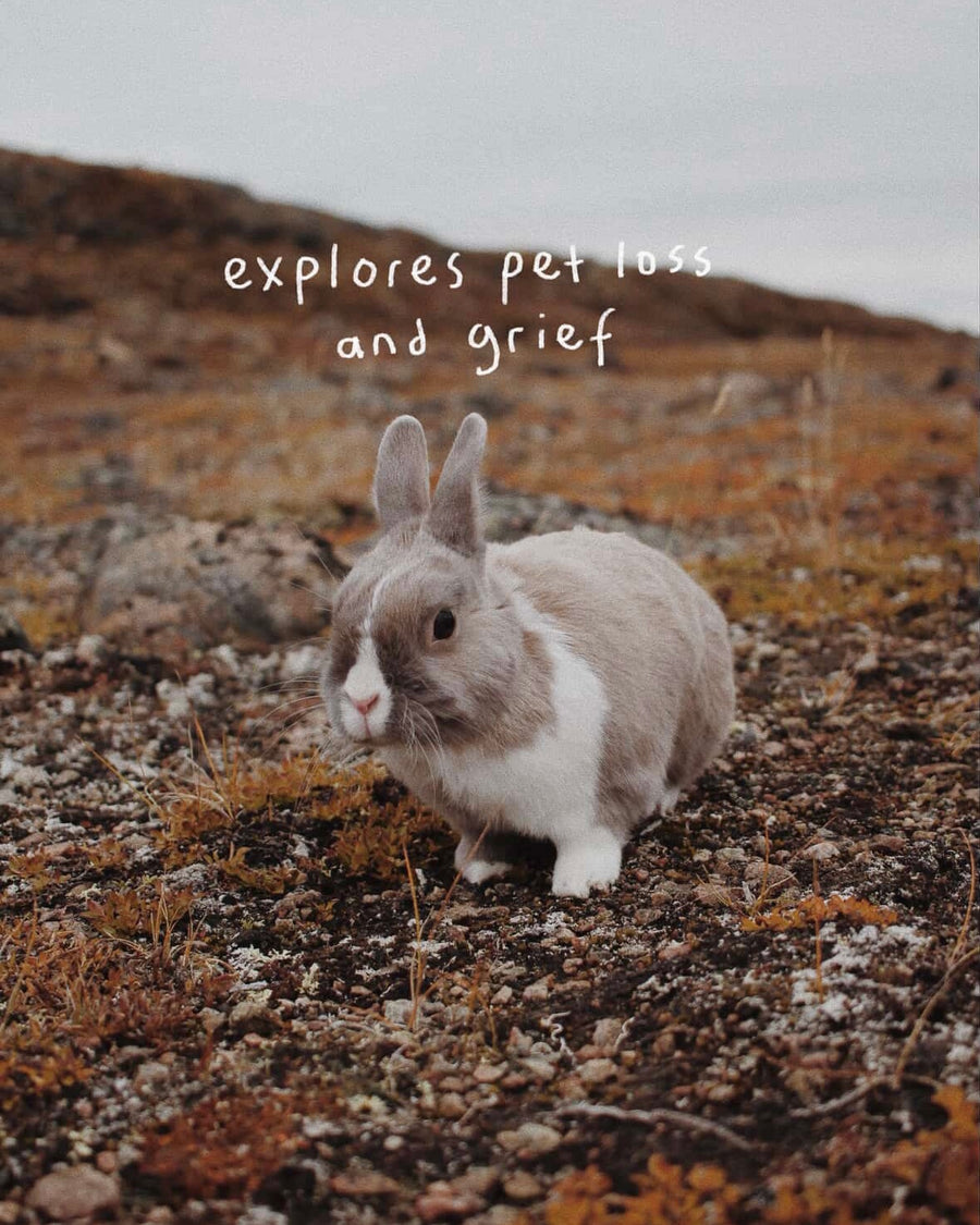 Saskie Knits - Preorder