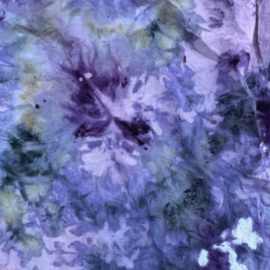 Natural Dyeing with Pine & Cactus - November 2