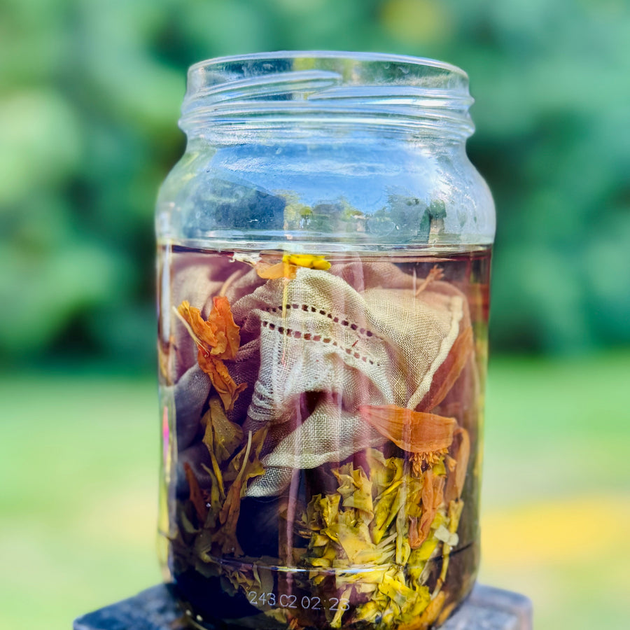 Natural Dyeing with Pine & Cactus - November 2