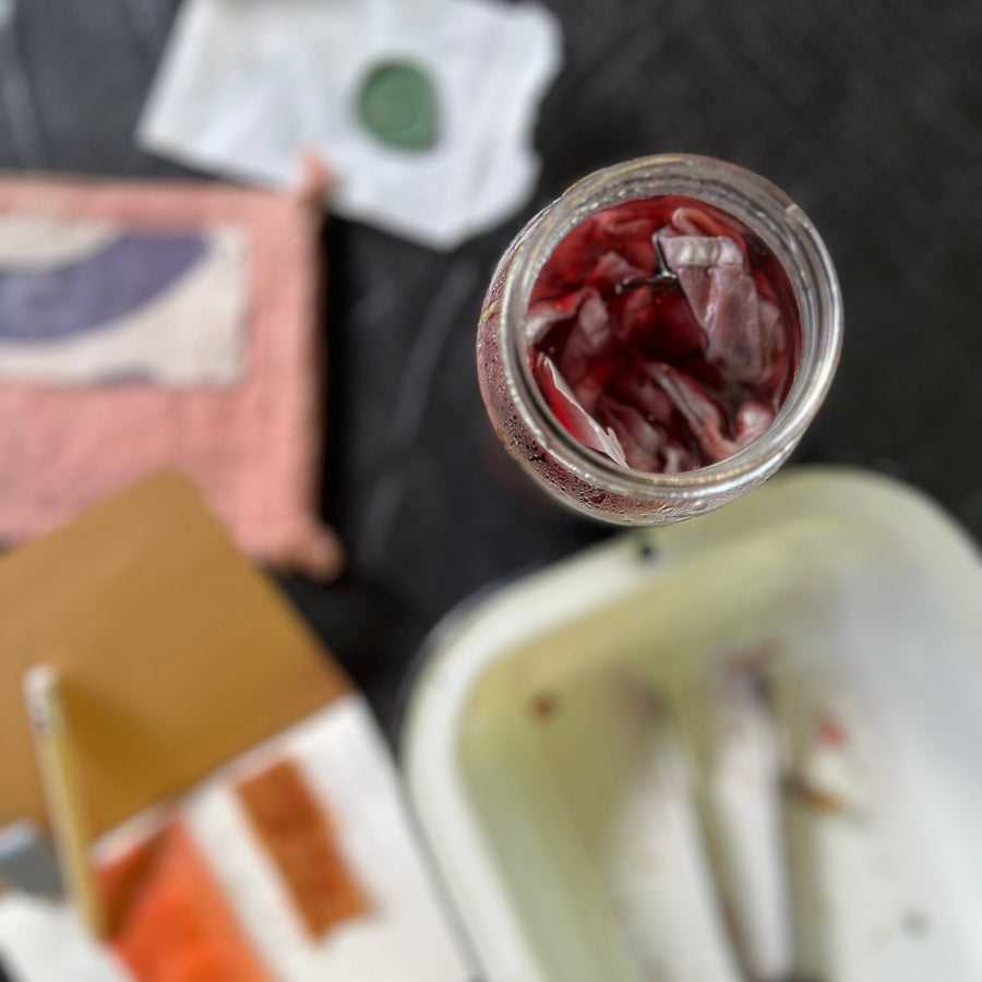 Natural Dyeing with Pine & Cactus - November 2