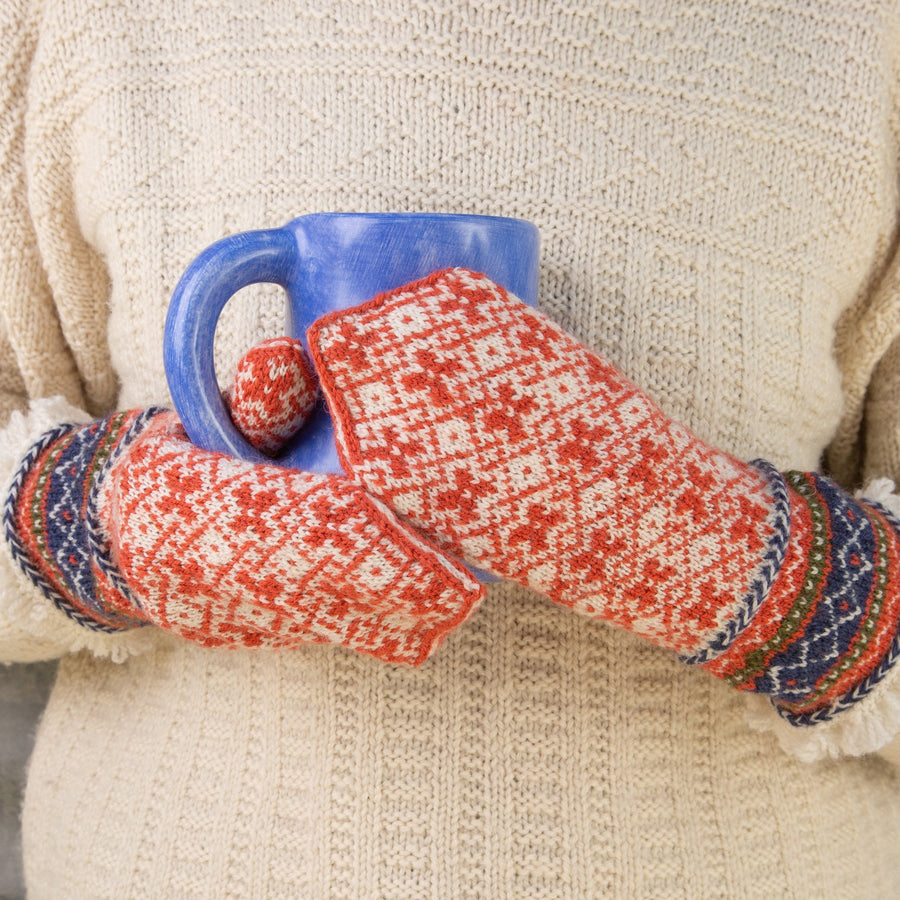 Friendship Mitten Book: Techniques for Knitting & Designing Latvian Mittens