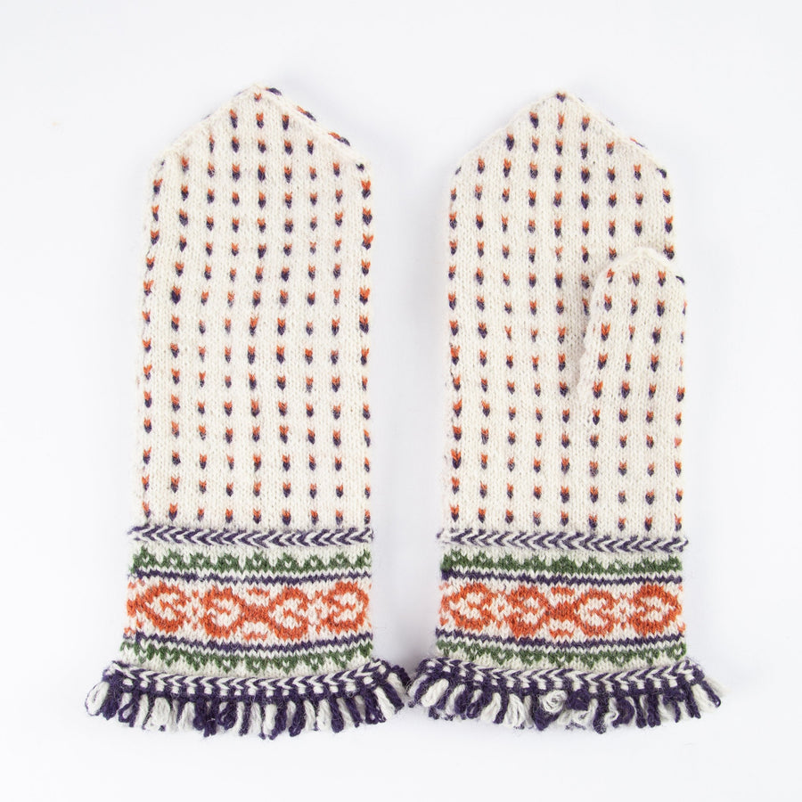 Friendship Mitten Book: Techniques for Knitting & Designing Latvian Mittens