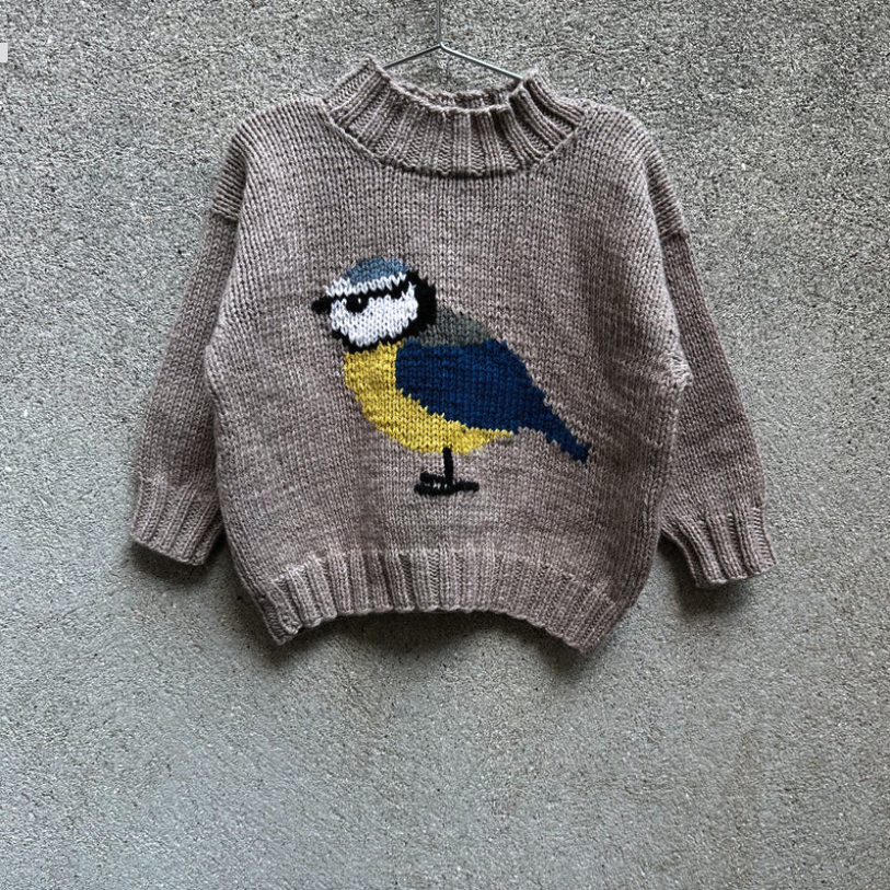 Bird Sweater Pattern (Kids) - Knitting for Olive