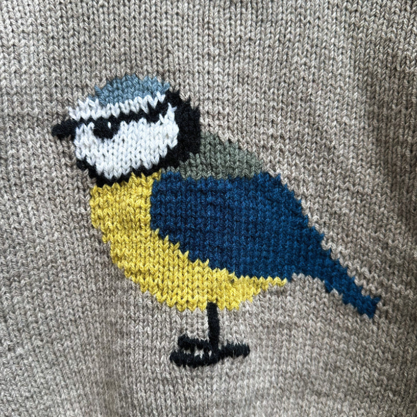 Bird Sweater Pattern (Kids) - Knitting for Olive