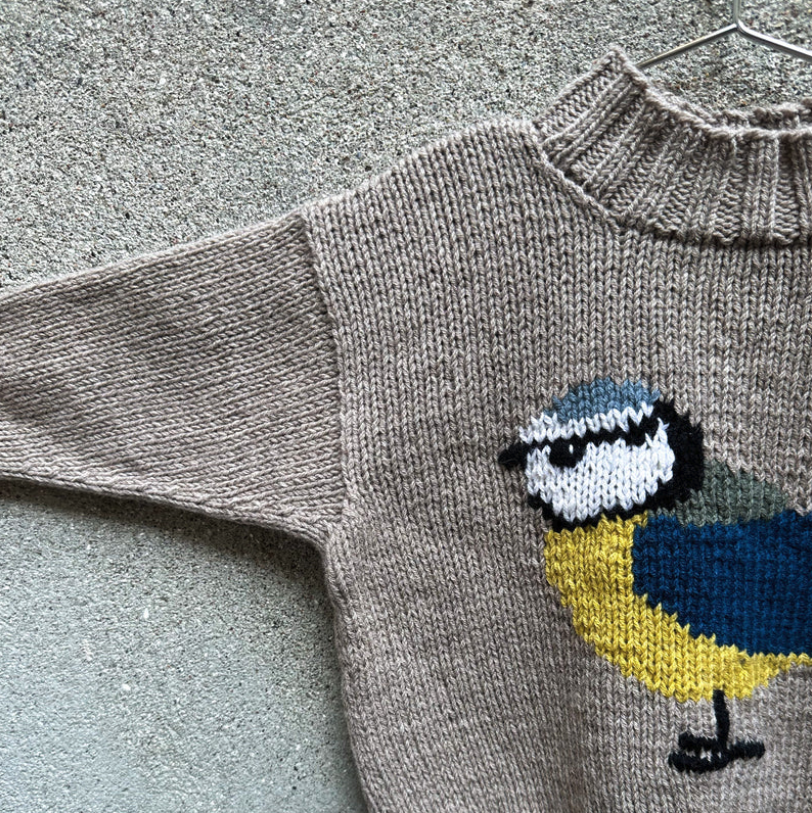 Bird Sweater Pattern (Kids) - Knitting for Olive