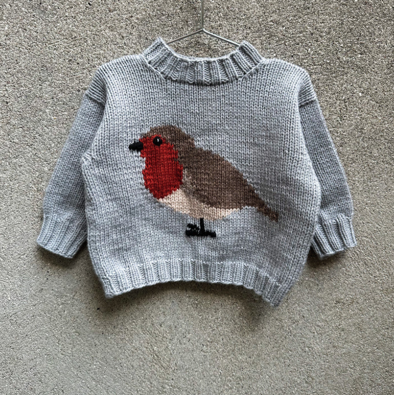 Bird Sweater Pattern (Kids) - Knitting for Olive