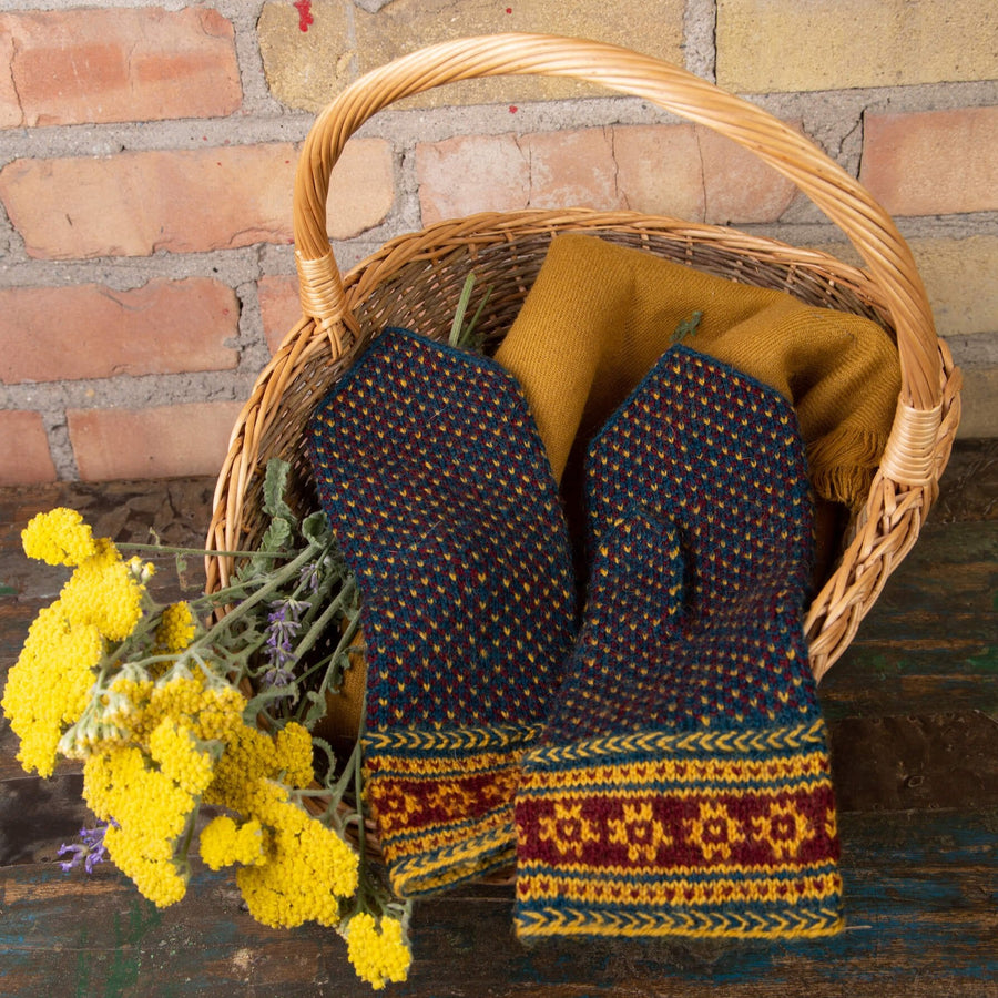 Friendship Mitten Book: Techniques for Knitting & Designing Latvian Mittens