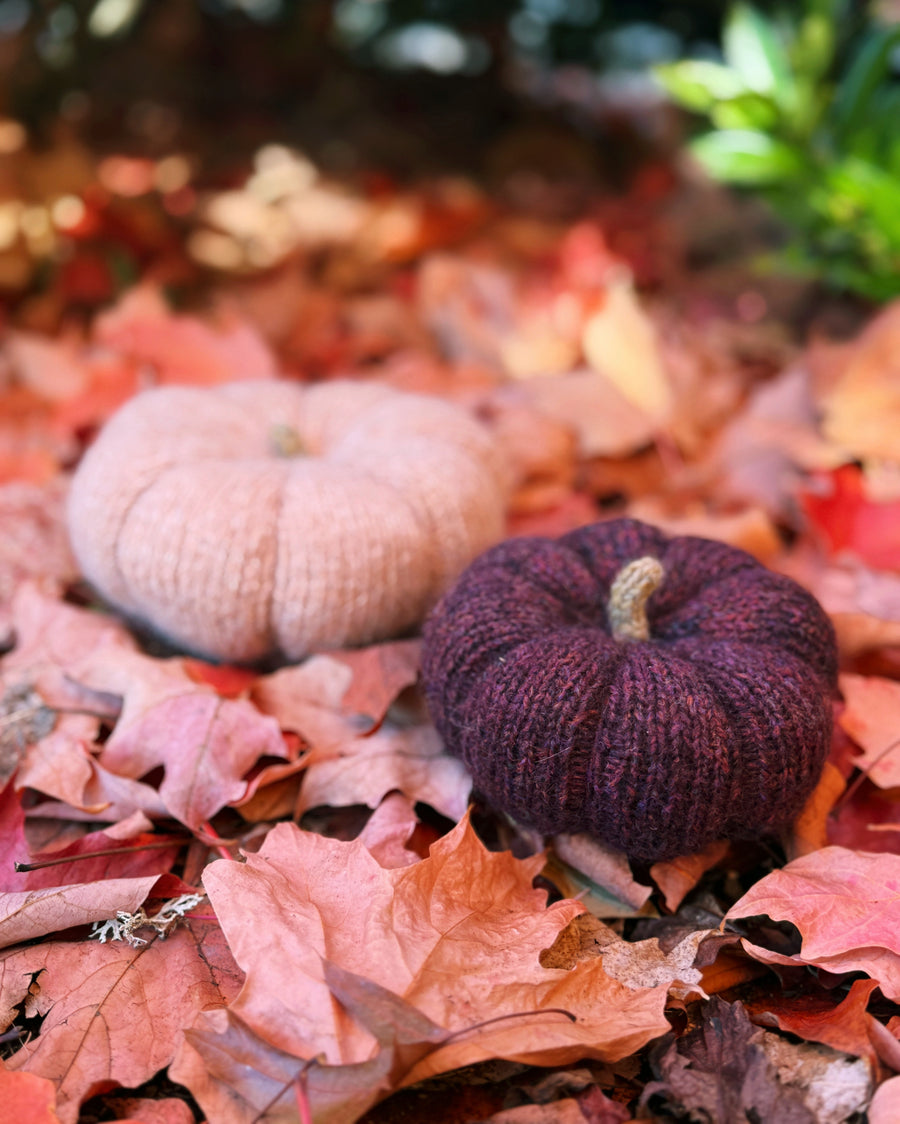 Knitted Fall Pumpkin - October 21 & 28