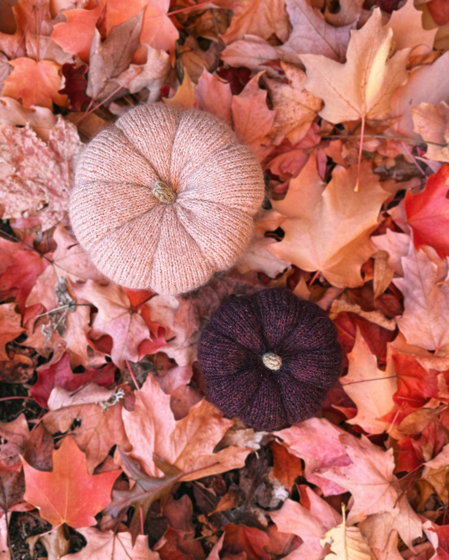 Knitted Fall Pumpkin - October 21 & 28